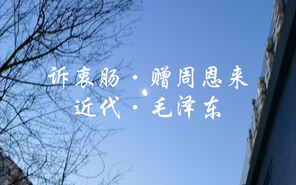 诉衷肠ⷨ𕠥‘要馝娿‘代ⷦ𓽤𘜥“”哩哔哩bilibili