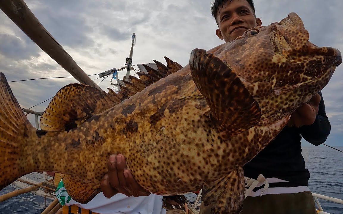国外高手延绳钓,1000串钩悬浮海中钓老虎斑东星斑,抓稀罕货