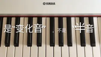基础音？变化音？半音？——5分钟快速学乐理【木笛秘奥屋】