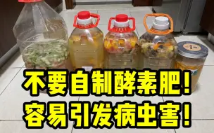 Download Video: 不要自制酵素肥！容易带入病虫害！