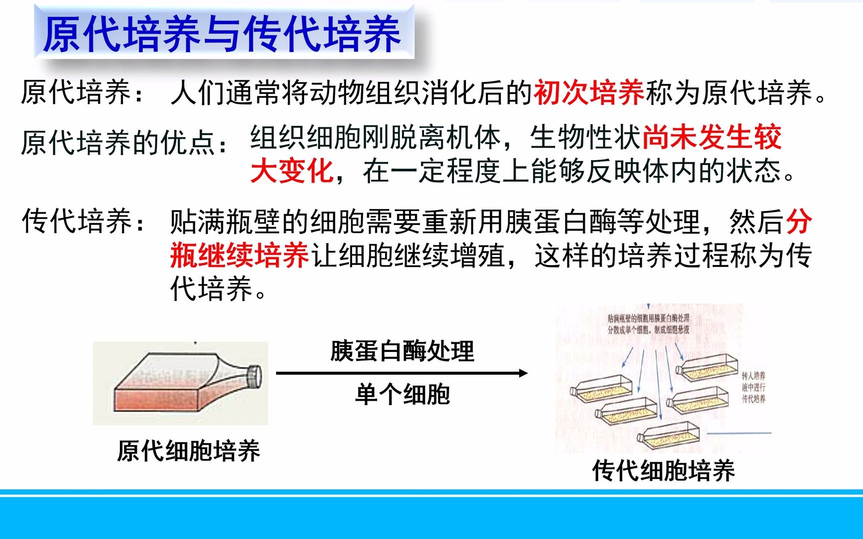 [图]文心雕龙高中生物选择性必修3——原代培养与传代培养