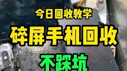 7p碎屏手机回收,不踩坑哔哩哔哩bilibili