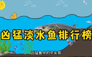 Download Video: 国内凶猛淡水鱼排行榜，翘嘴只能排倒数第三