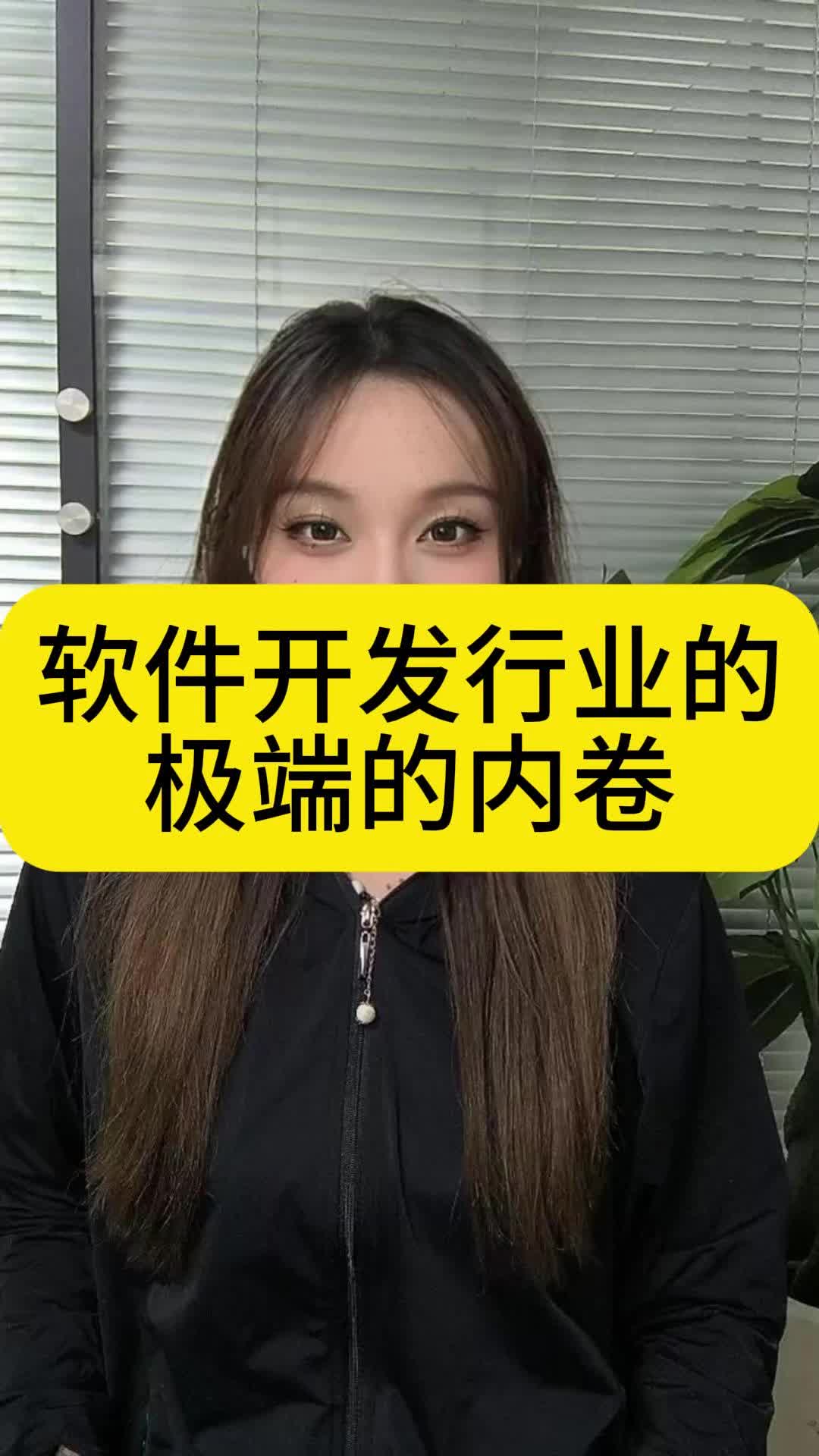 软件开发行业的极端的内卷哔哩哔哩bilibili