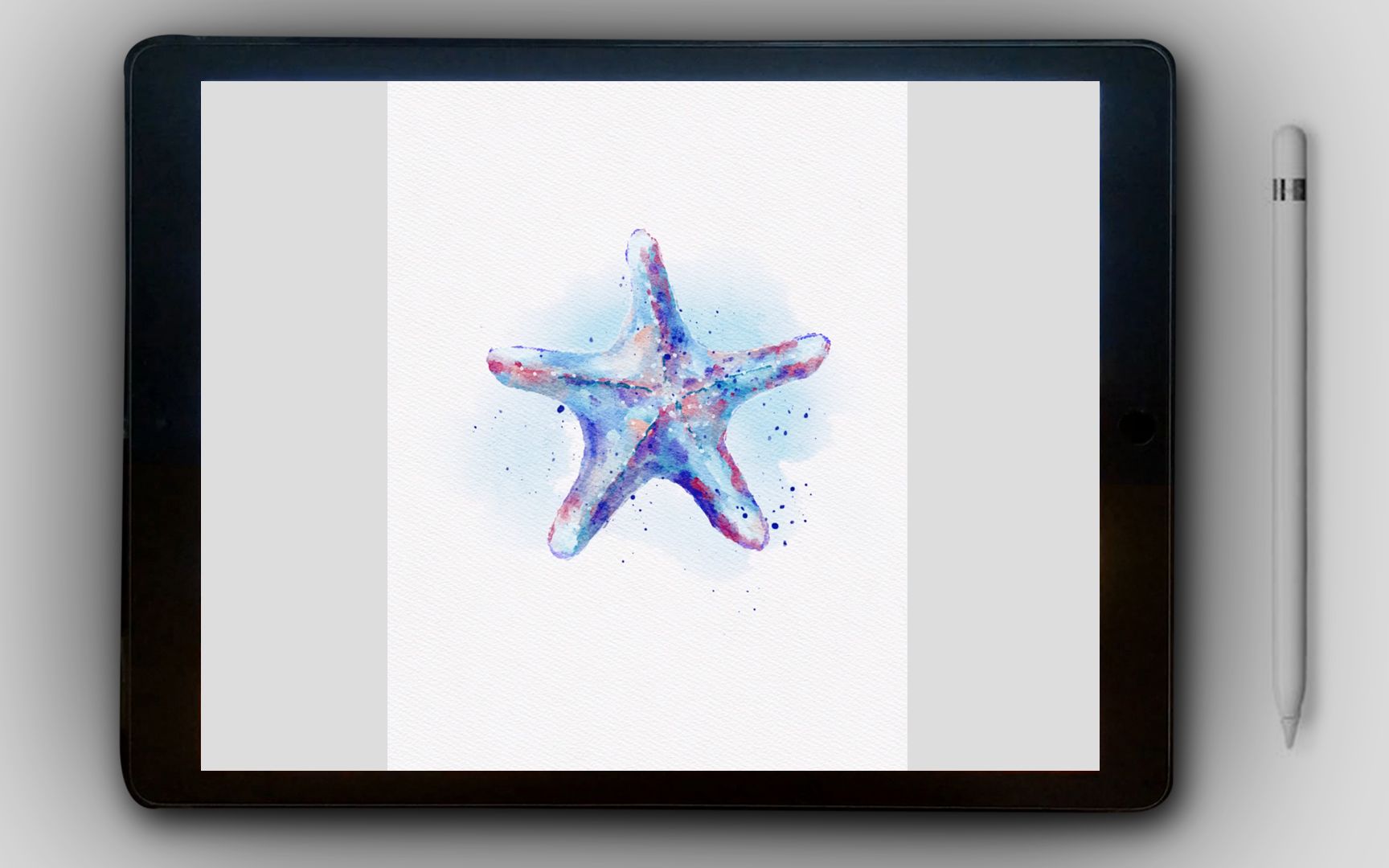 活动  【procreate水彩】零基础学ipad画画 海星