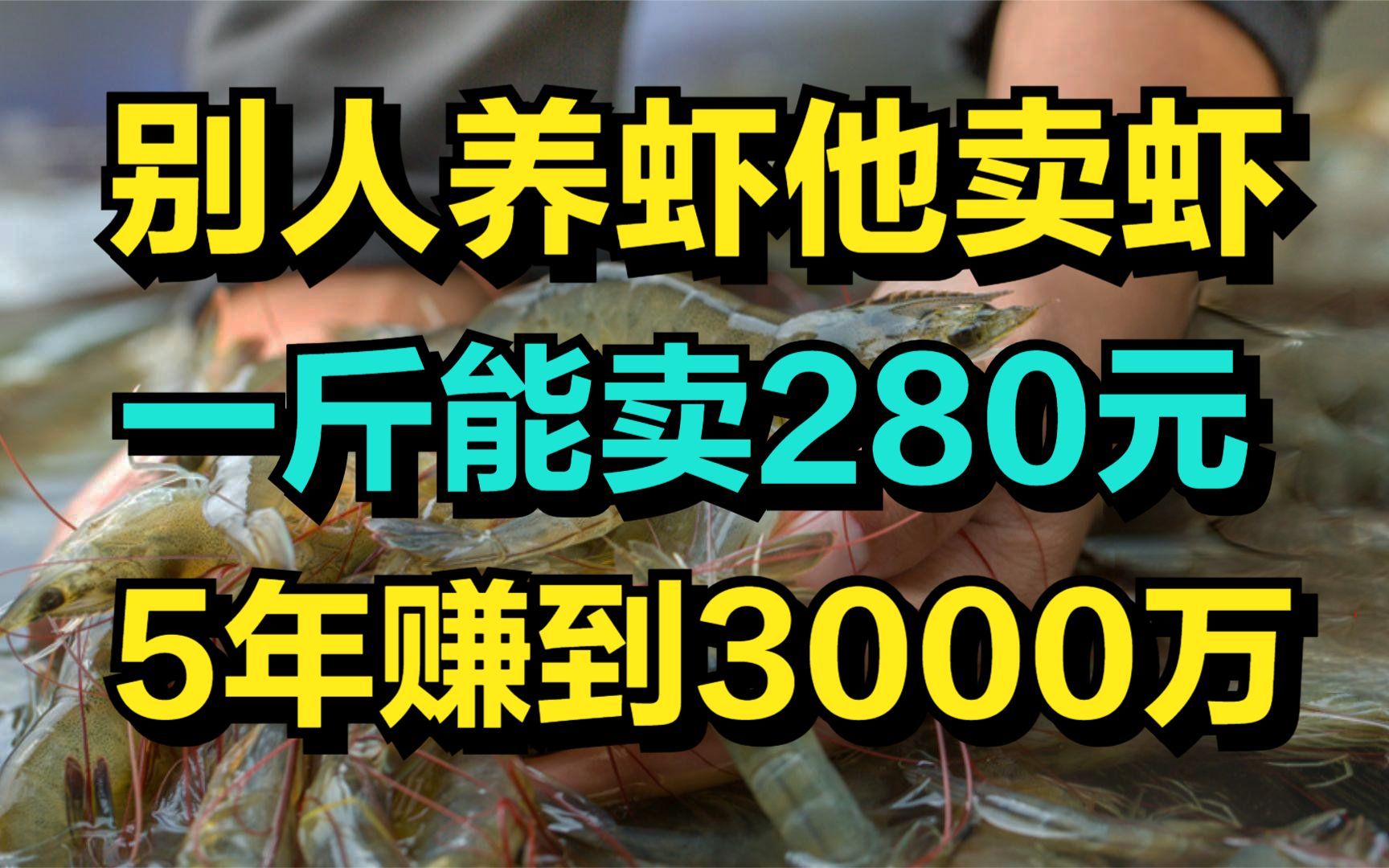 他用一个绝招卖南美白对虾,一斤虾能卖280元,5年时间赚到3000万哔哩哔哩bilibili