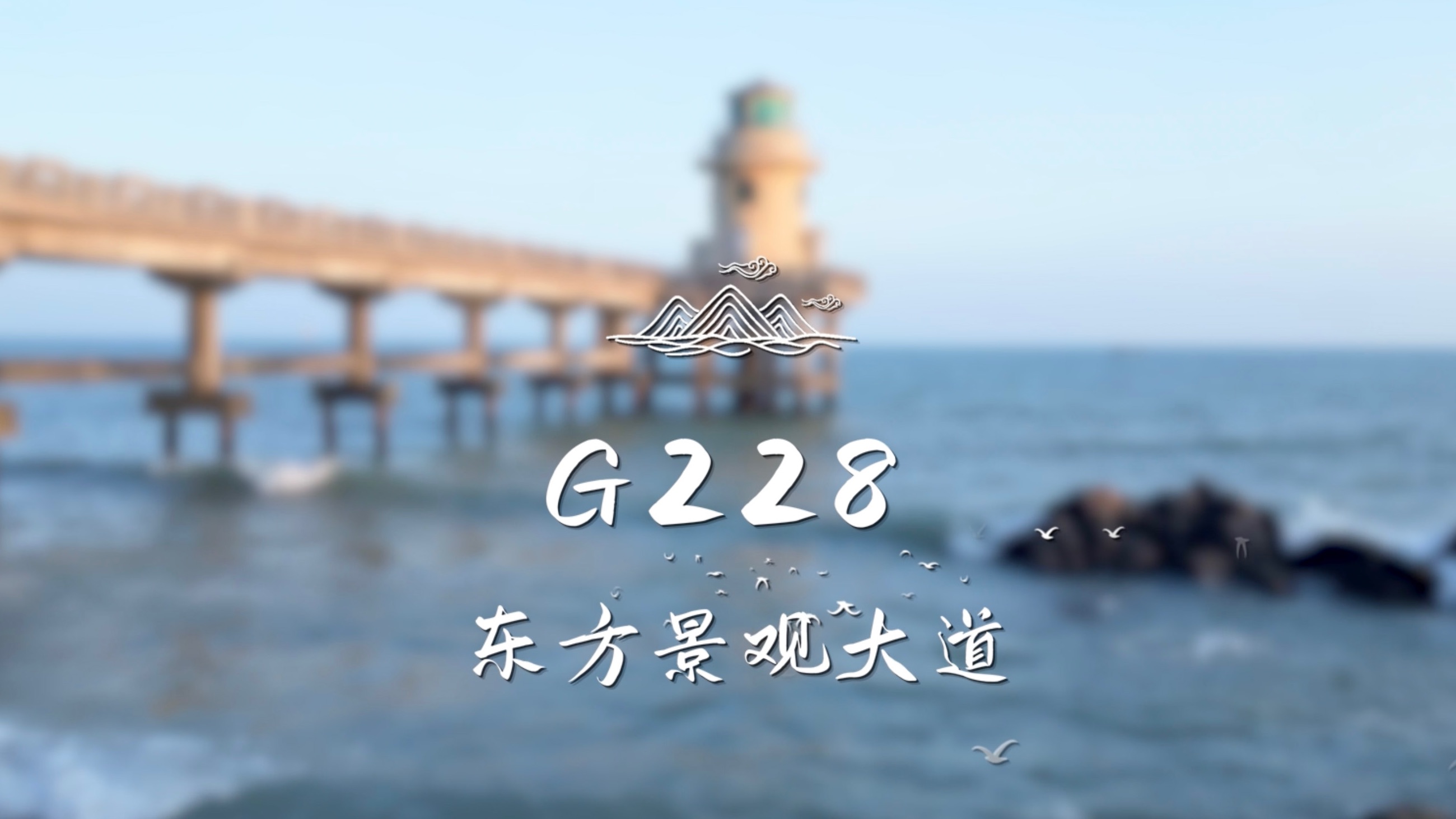 发现中国美|自驾G228东方景观大道哔哩哔哩bilibili