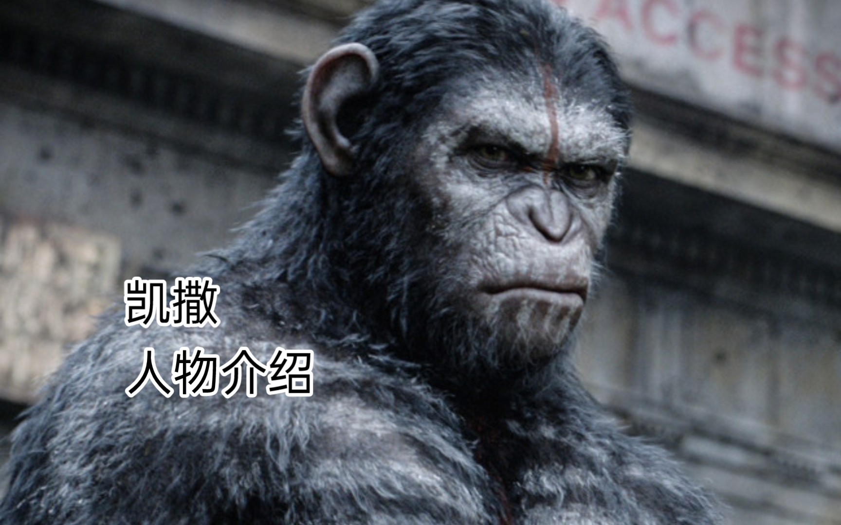 [猩球崛起]人物介绍:凯撒