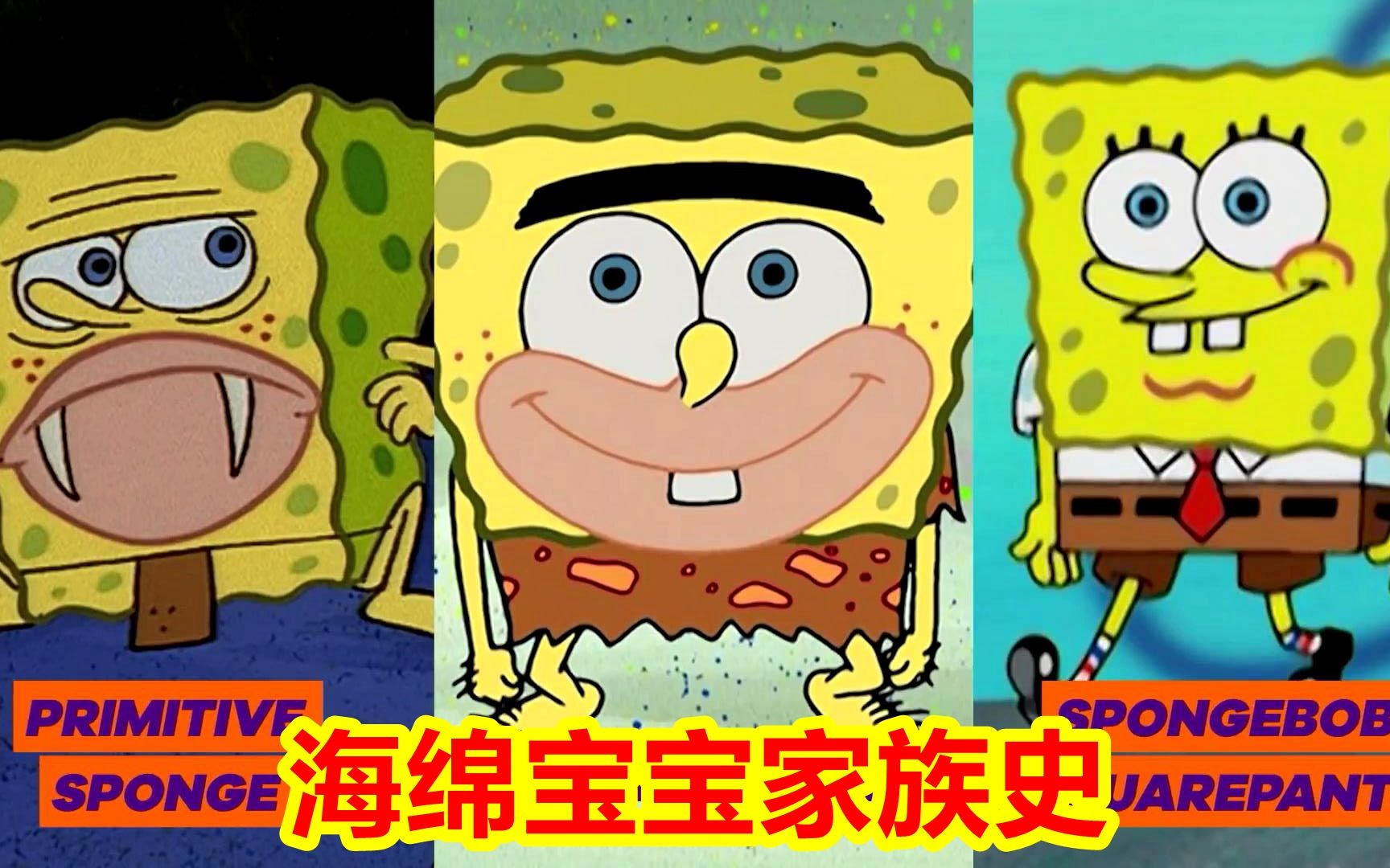 海绵宝宝家族进化史,平稳发展不长脑子