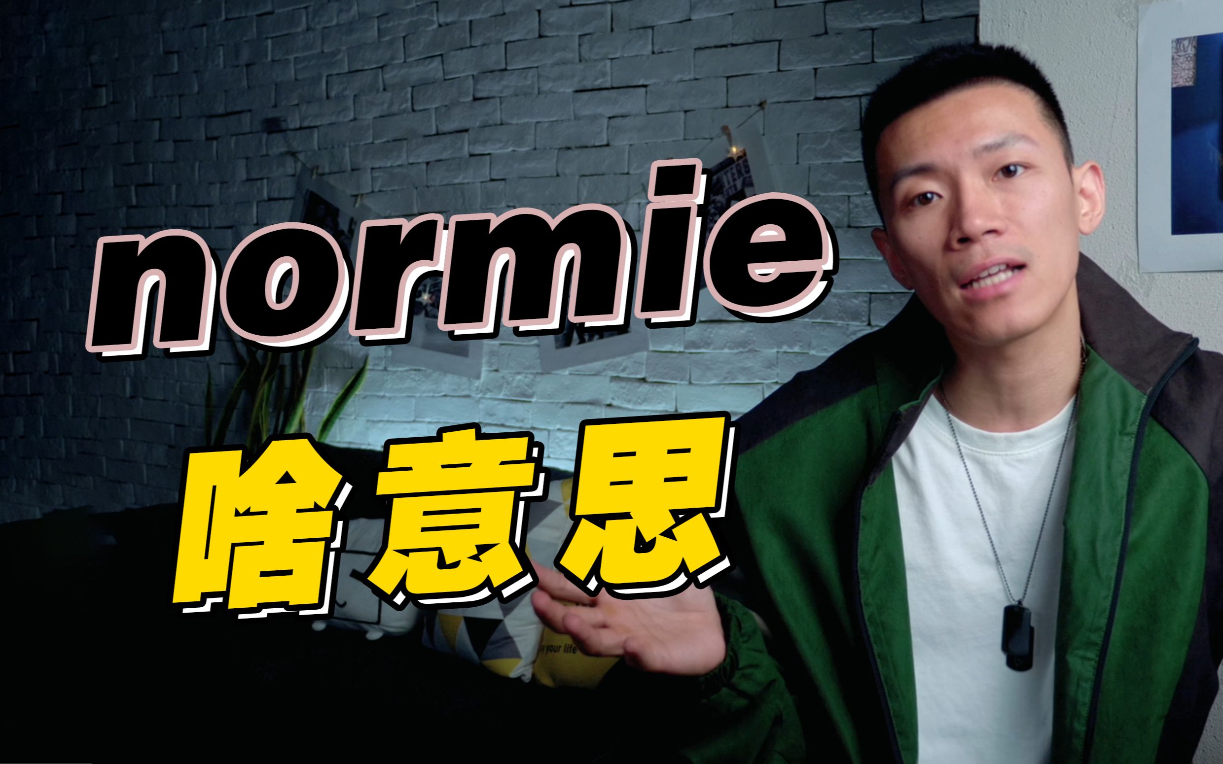 【口语控】美国年轻人常说的normie到底啥意思?哔哩哔哩bilibili