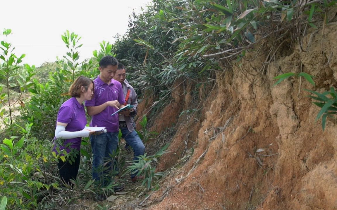 在草木茂盛的土地上,寻找痕迹稀少的岭南建筑遗迹是难上加难!哔哩哔哩bilibili