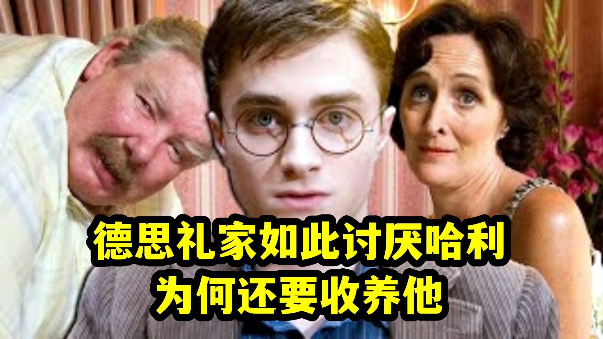 德思礼一家如此讨厌哈利,为何又要收养他,还阻止他离开哔哩哔哩bilibili