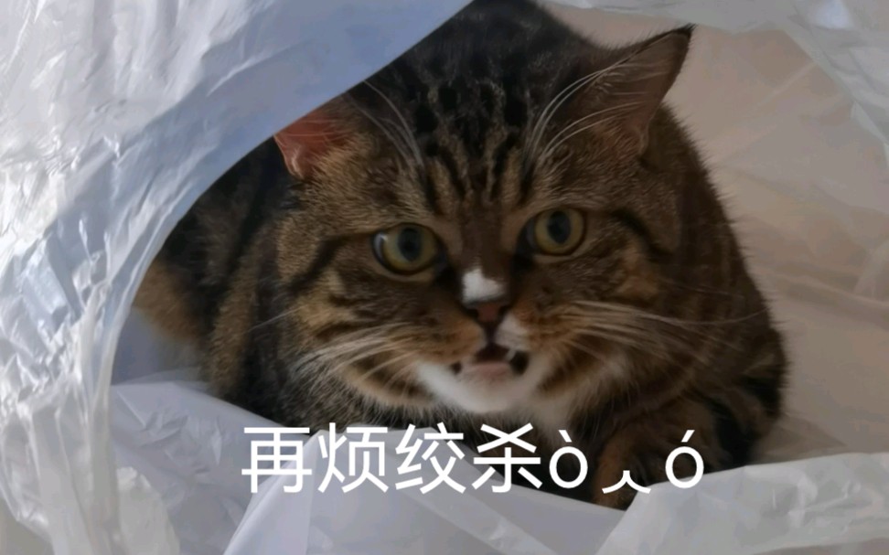 歪,幺幺零吗?这人总来烦我