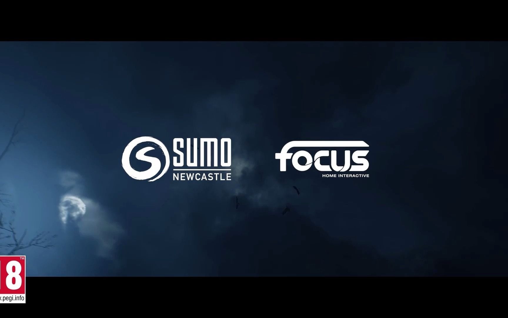 今日上线绿林侠盗亡命之徒与传奇hoodoutlawslegendssteam销量排名第