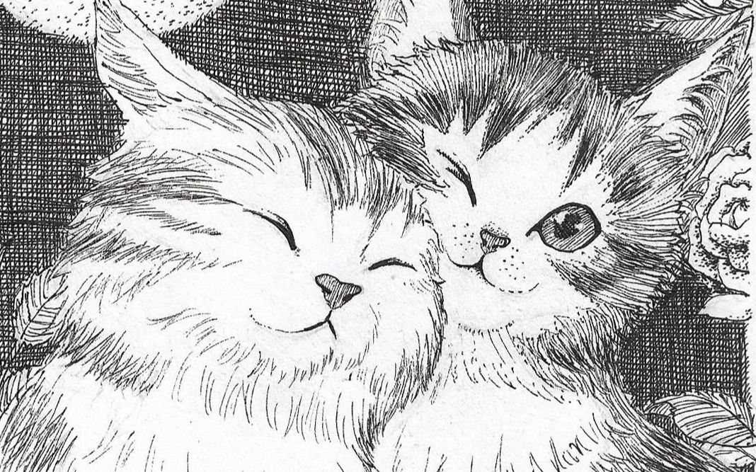 两只小猫咪【黑白画】