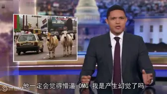 崔娃谈特朗普访问印度，梗太密集了，当场笑抽