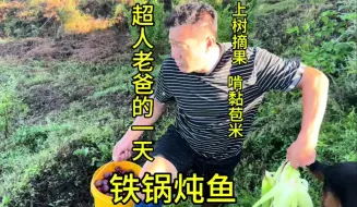 Download Video: 来看看超人老爸一年里最轻松的一天是怎样度过的  东北黏苞米真好