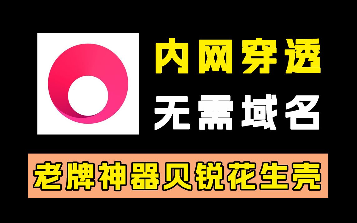 本地网站如何映射到外网?如何进行内网穿透?一个软件搞定!哔哩哔哩bilibili