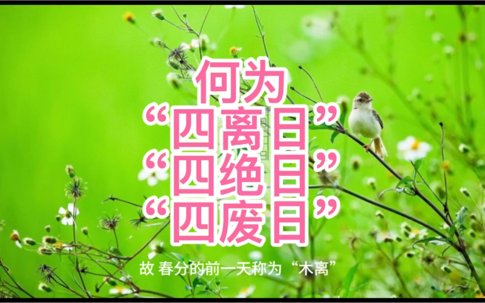 四离日,四绝日,四废日到底是哪些日子哔哩哔哩bilibili