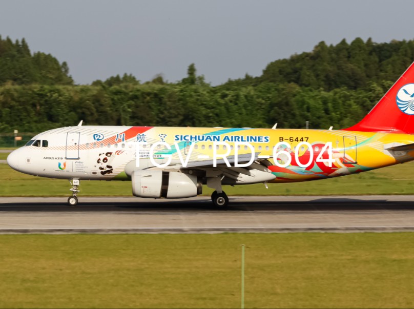 川航大运会彩绘a319降落成都天府国际机场