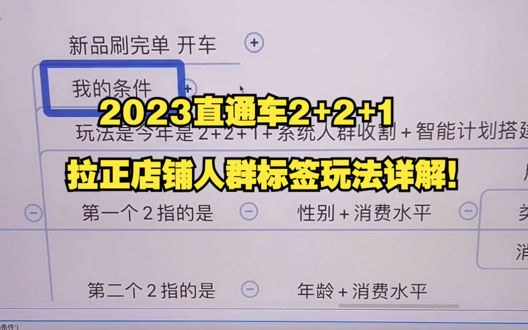 2023直通车2+2+1拉正店铺人群标签玩法详解!哔哩哔哩bilibili