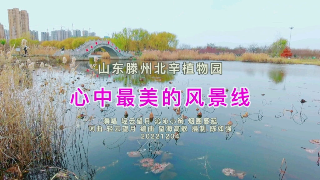 山东滕州北辛植物园冬日美景,心中最美的风景线哔哩哔哩bilibili