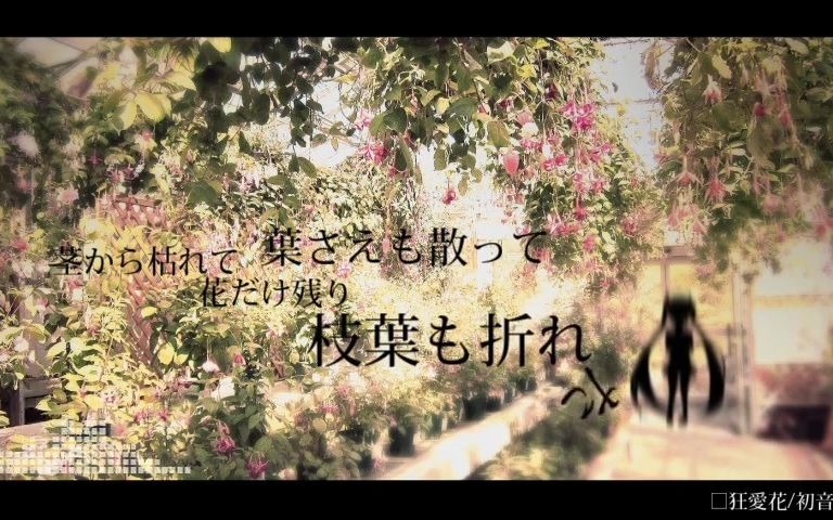 [图]【初音ミク】狂愛花【zakooon】