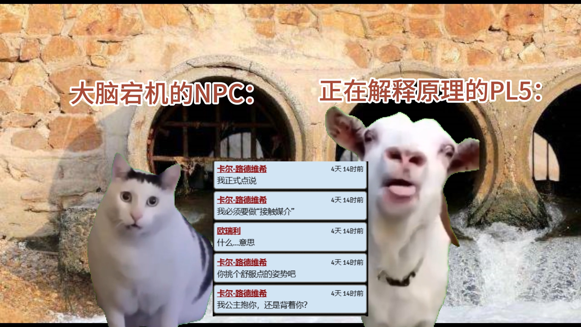 【猫meme】跑团时团里的传奇海王PL攻略NPC的故事哔哩哔哩bilibili