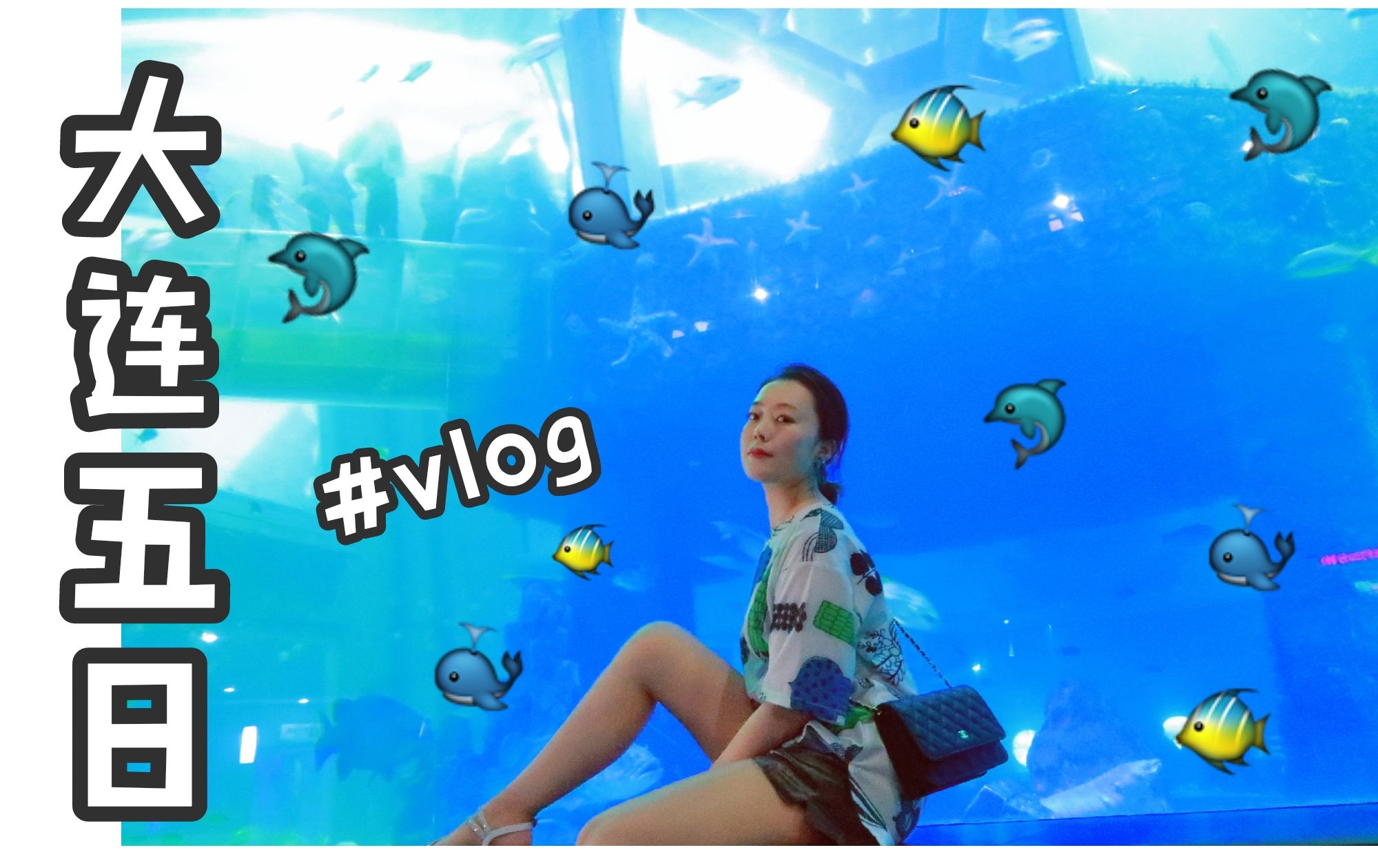 VLOG#2大连旅游|大连自由行|大连我爱了|哔哩哔哩bilibili