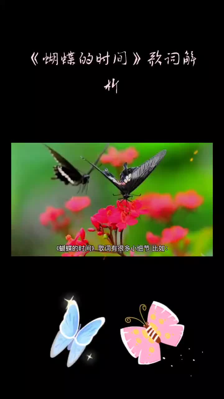 穿越时空的蝴蝶 B站