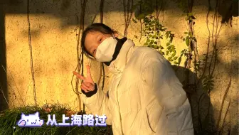 上海周末游——真的很累（大家不要看，就是一个流水账，没有意义）