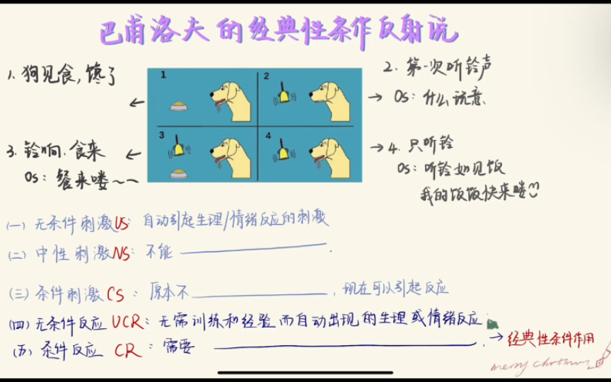 巴甫洛夫(上):经典性条件反射说哔哩哔哩bilibili