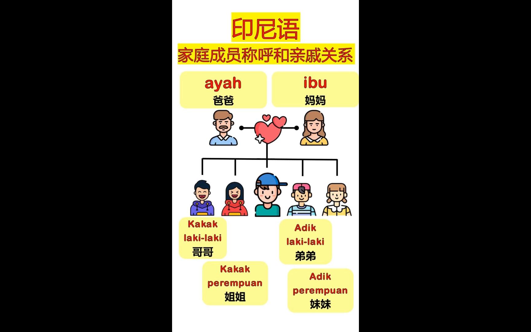 家庭成员,亲属称谓的印尼语怎么说?哔哩哔哩bilibili