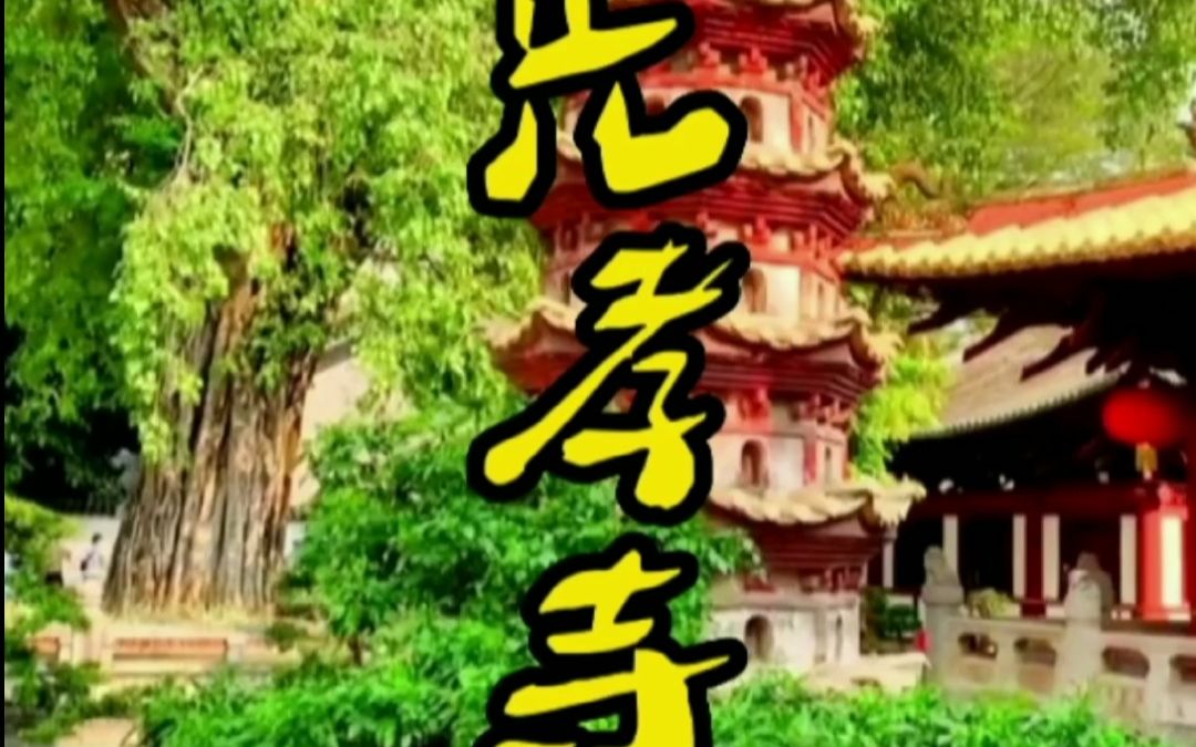 广州光孝寺哔哩哔哩bilibili