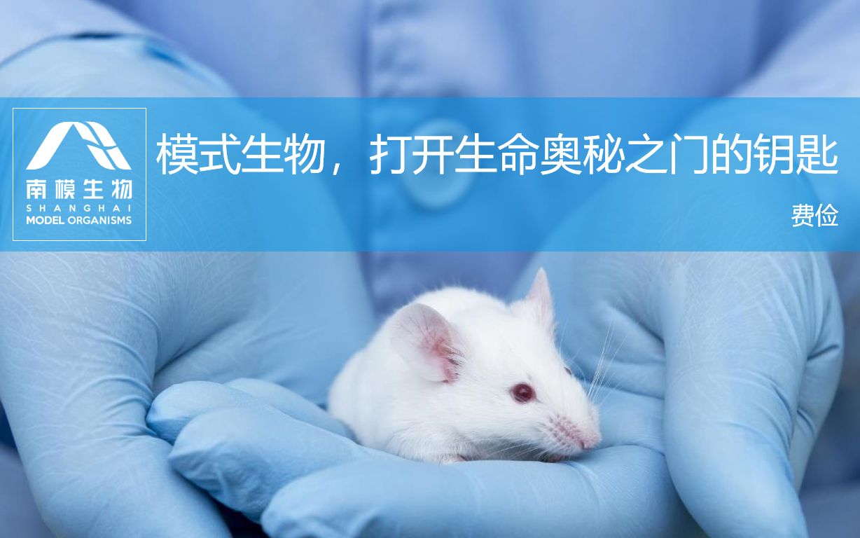 [图]模式生物，打开生命奥秘之门的钥匙（第一讲）