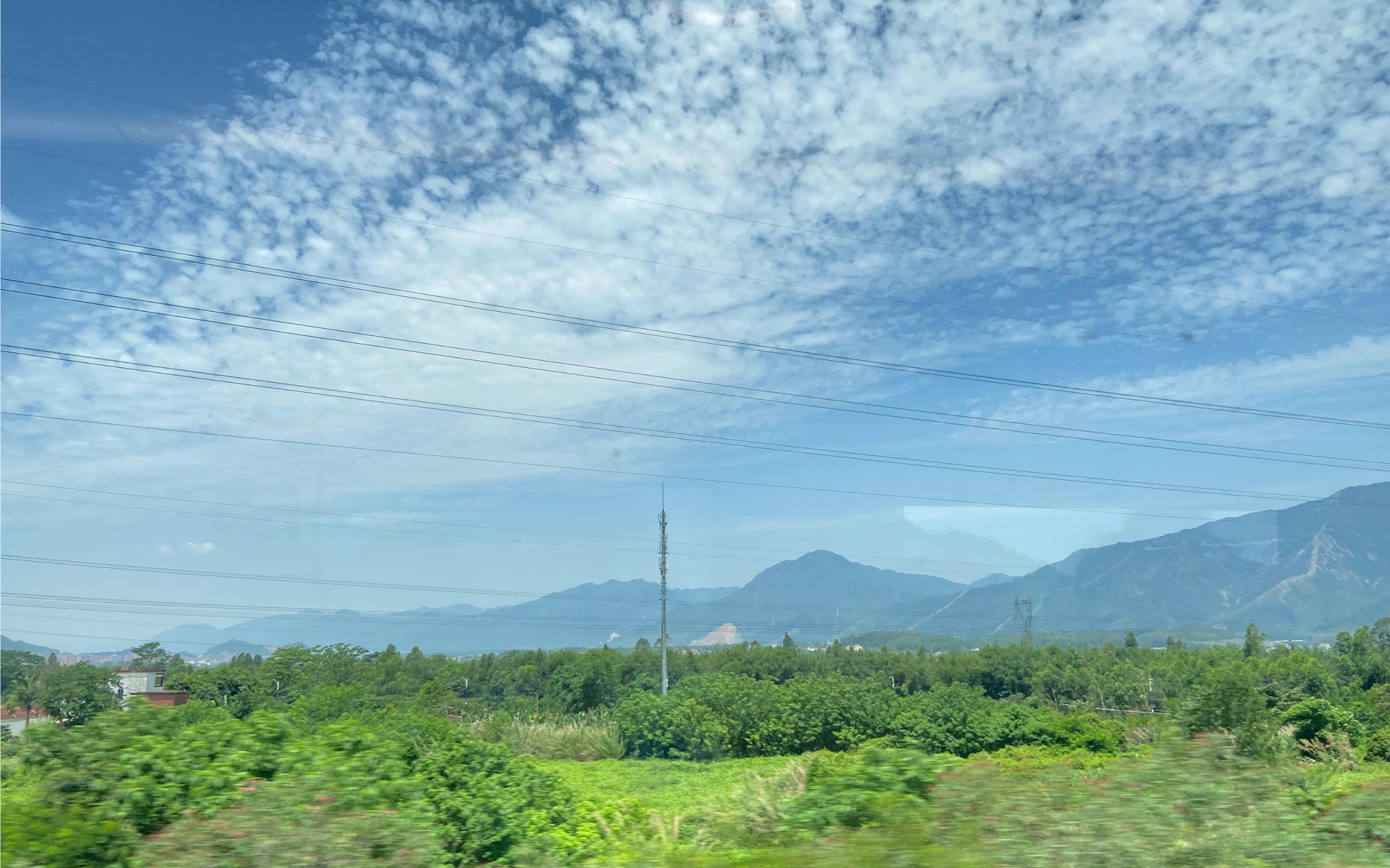 活動 逃離大城市!行動ing