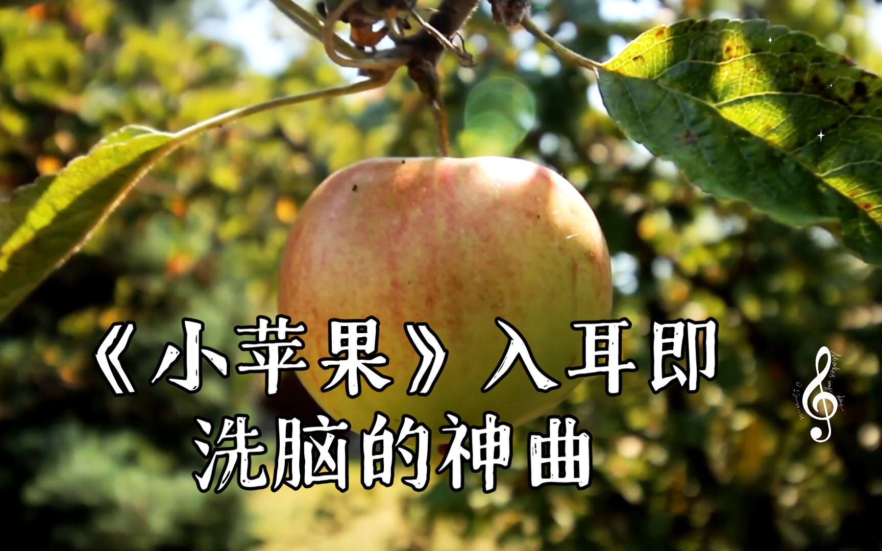 《小苹果》入耳即洗脑的神曲
