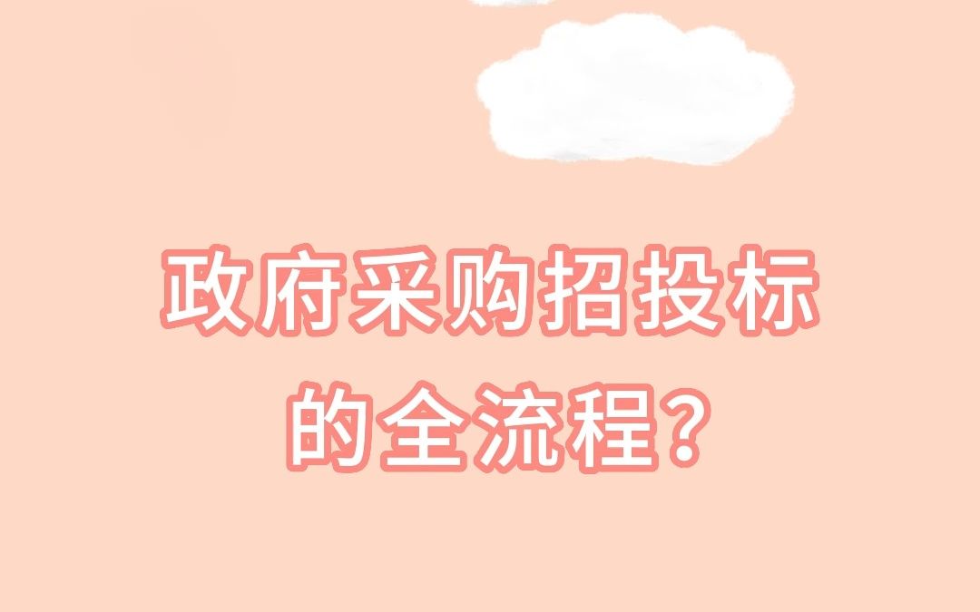 政府采购招投标的全流程?哔哩哔哩bilibili