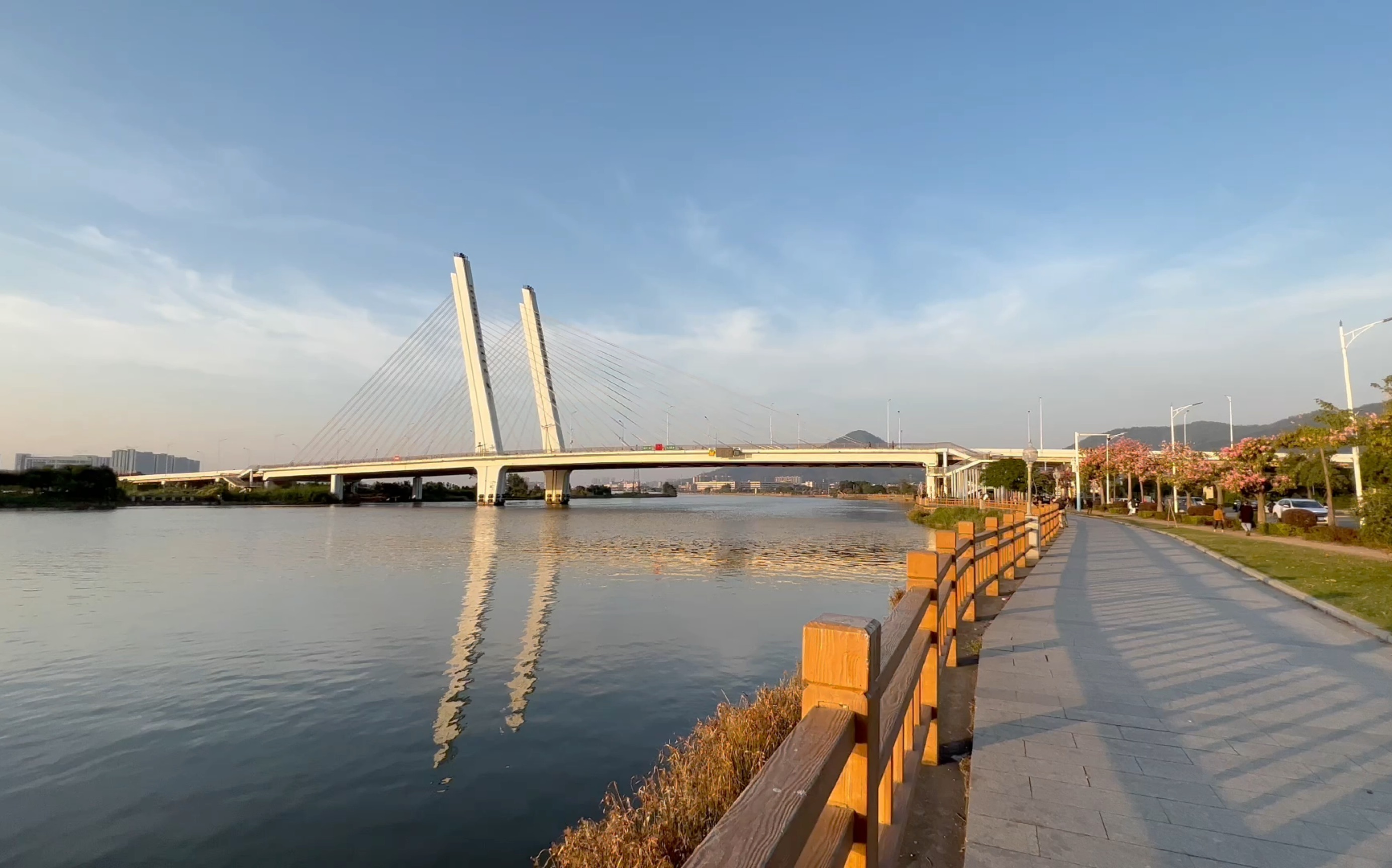 周末中山板芙镇江边闲逛闲聊