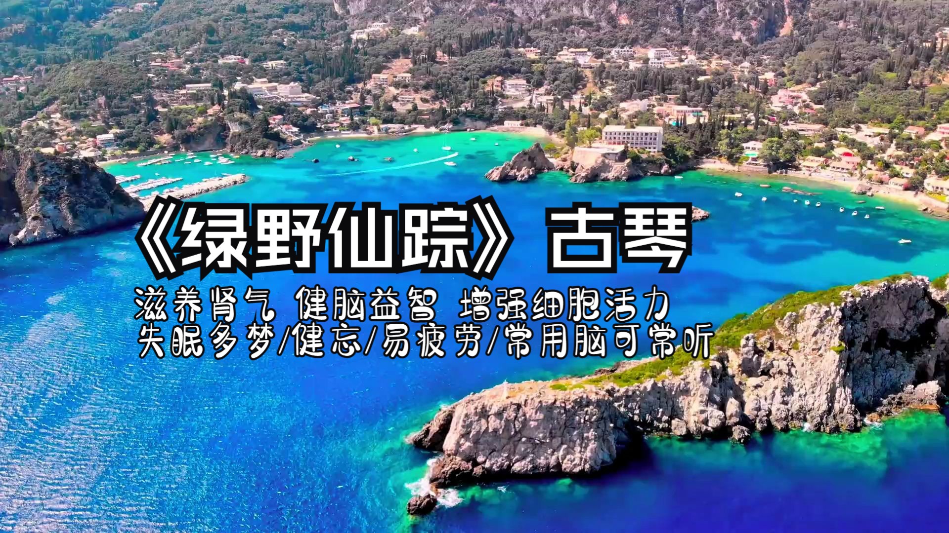 水音入肾 滋养肾气 健脑益智 增强细胞活力 降火去燥 失眠多梦/健忘