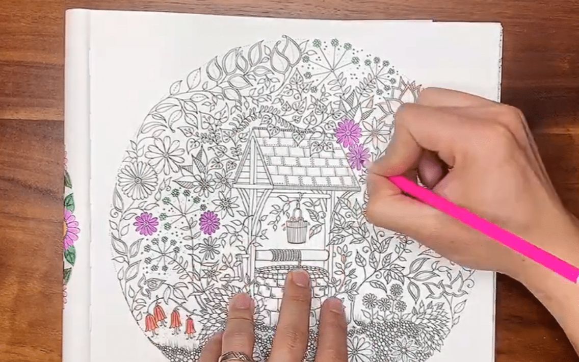 《秘密花园 》彩铅涂鸦