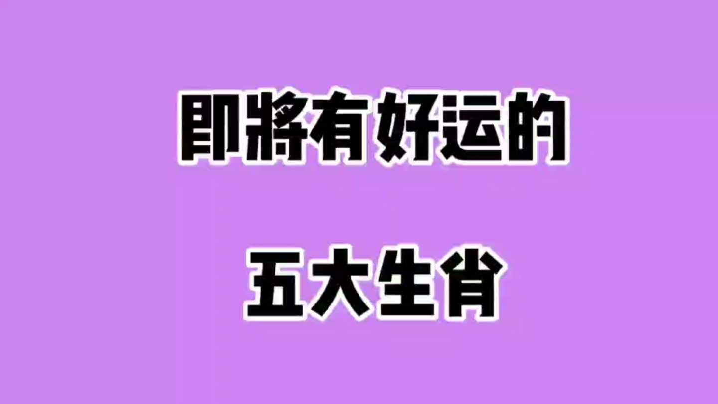 即将有好远的五大生肖,你知道吗?哔哩哔哩bilibili