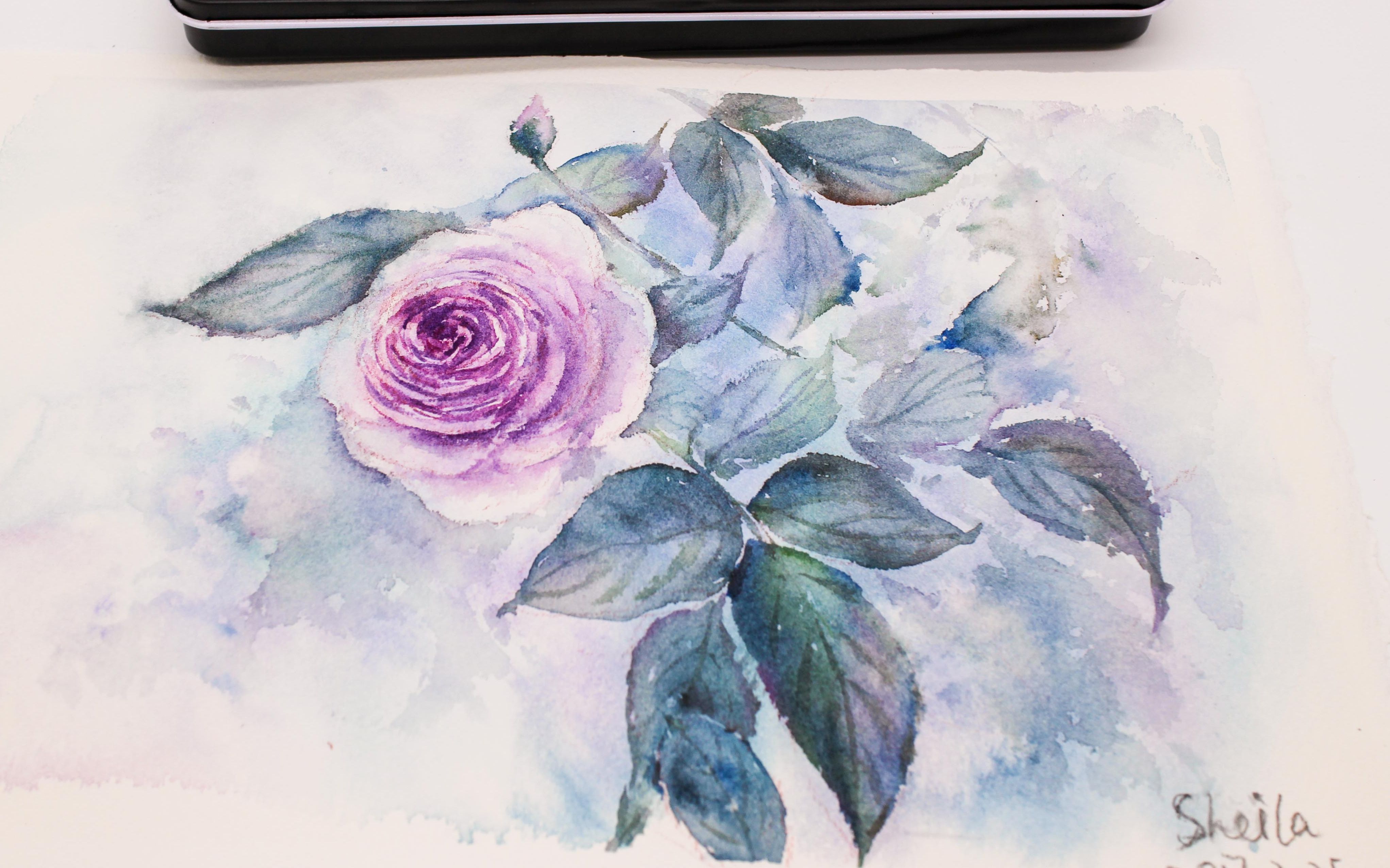 【sheila水彩】手绘月季_绘画_生活_bilibili_哔哩哔哩