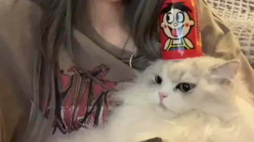 up：丢丢是小平头吗？王奕：怎么不算小平头呢！