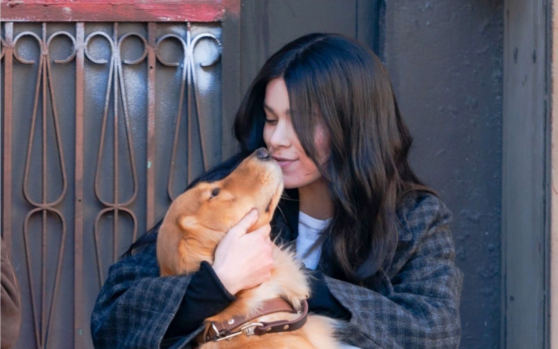 hailee(饰凯特·毕肖普)在鹰眼第一季中的精彩cut