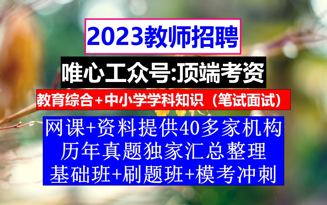 23年教师招聘小初高信息技术,教师编制招聘考试,教资考试内容哔哩哔哩bilibili