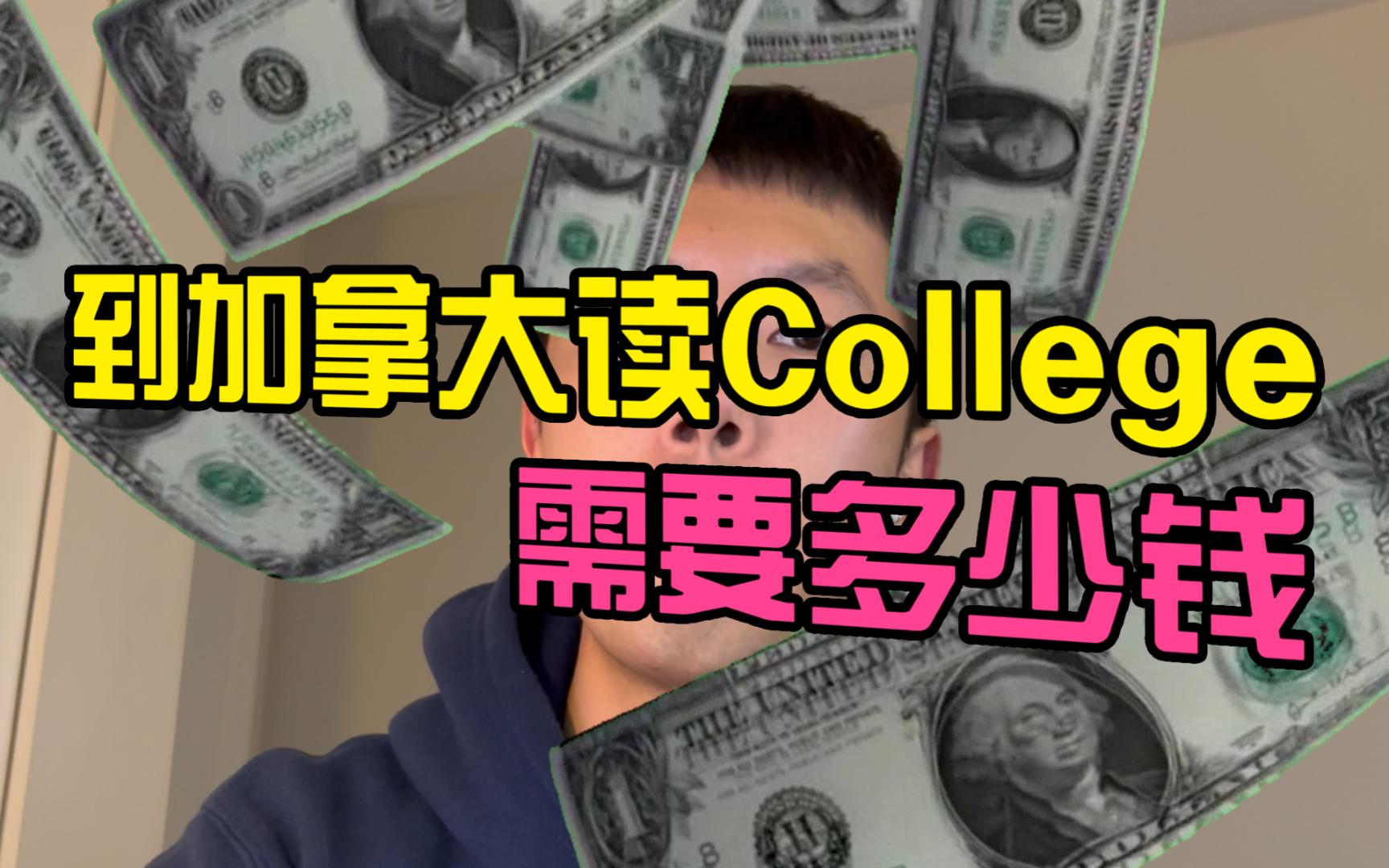 从辞职到来加拿大读college一共花了多少钱哔哩哔哩bilibili