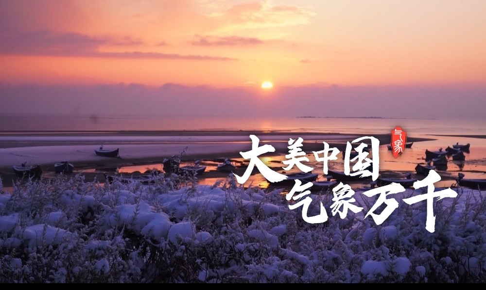 山东荣成天鹅沐雪哔哩哔哩bilibili