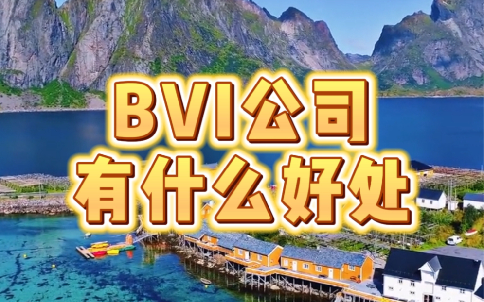 BVI公司有什么好处哔哩哔哩bilibili