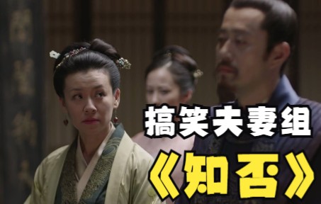 一起嗑红狼和大娘子吵吵闹闹的日常这大约就是真爱吧